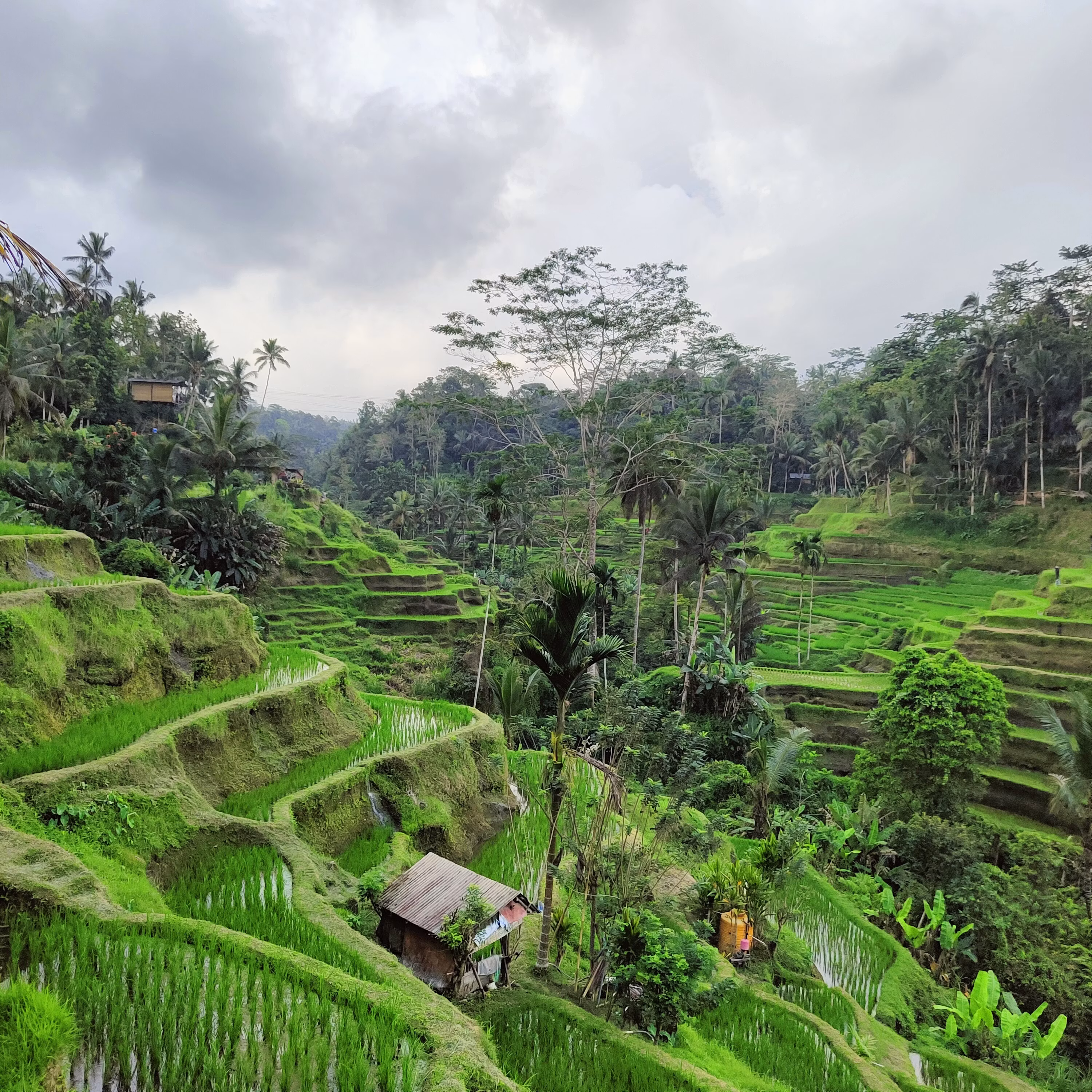 Departure from Bali